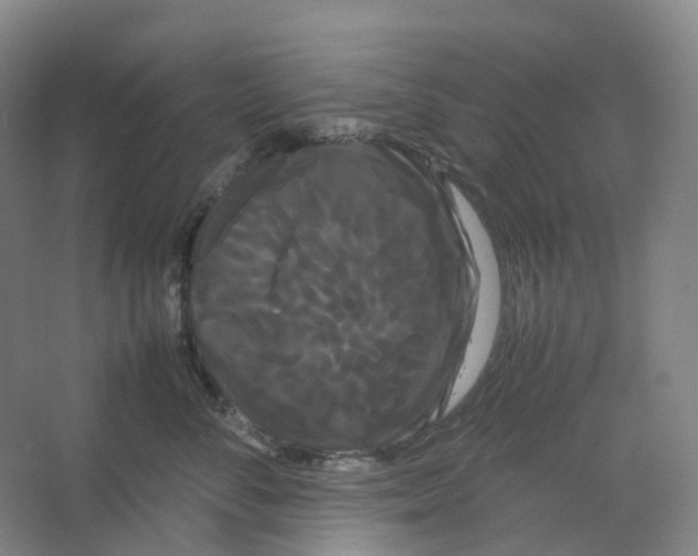 X0000066500716200604141722