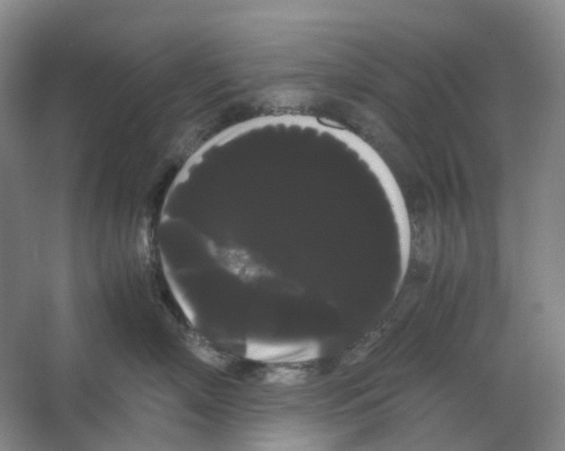 X0000066500718200604141722