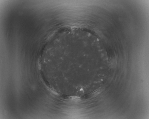 X0000066500719200604141722