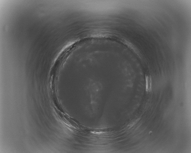 X0000066500723200604141721