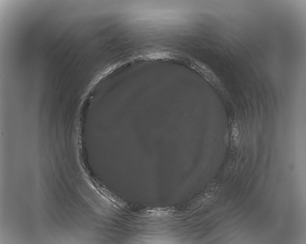 X0000066500732200604141722