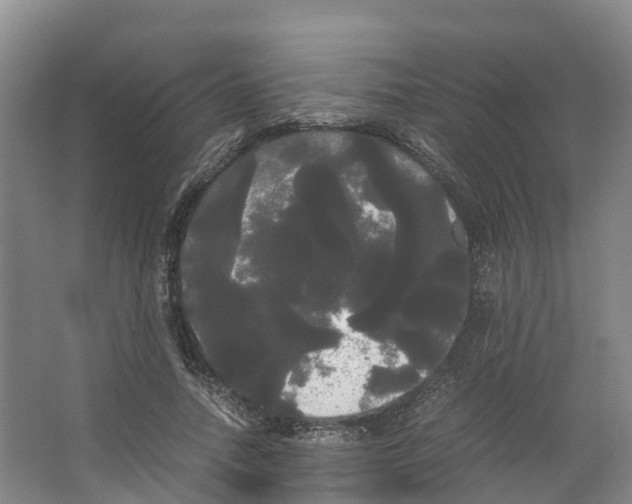 X0000066500738200604141722