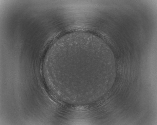X0000066500740200604141722