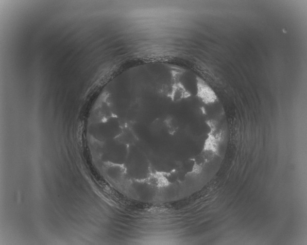 X0000066500742200604141722