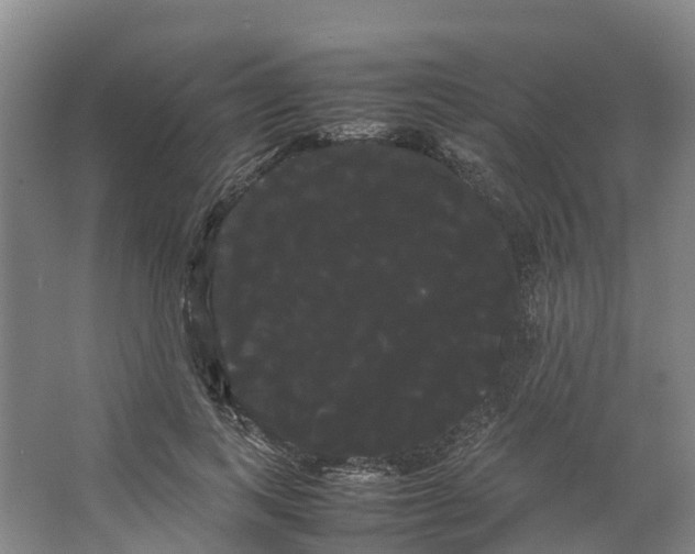 X0000066500743200604141722