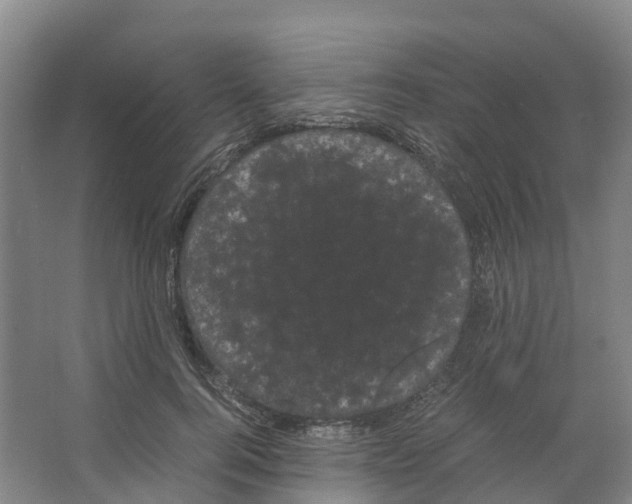 X0000066500744200604141722