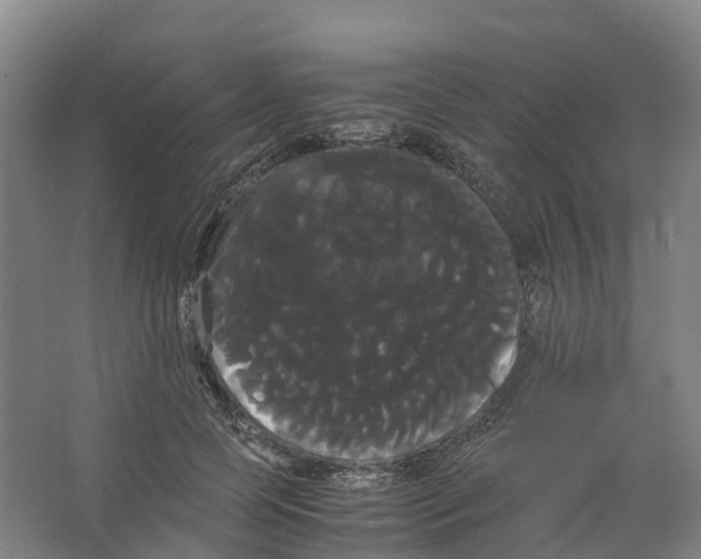 X0000066500745200604141722