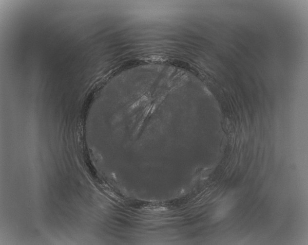 X0000066500747200604141722