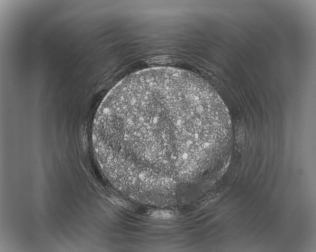 X0000066500751200604141722