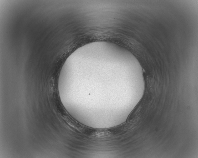 X0000066500752200604141722