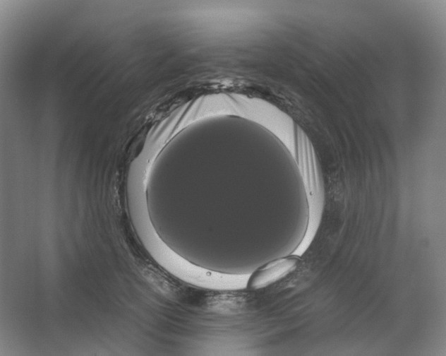 X0000066500754200604141722