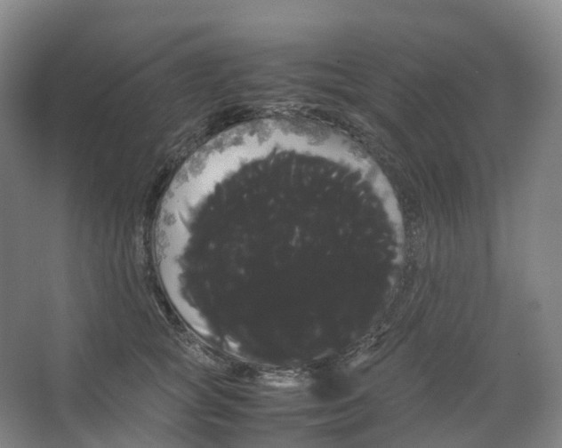 X0000066500757200604141722