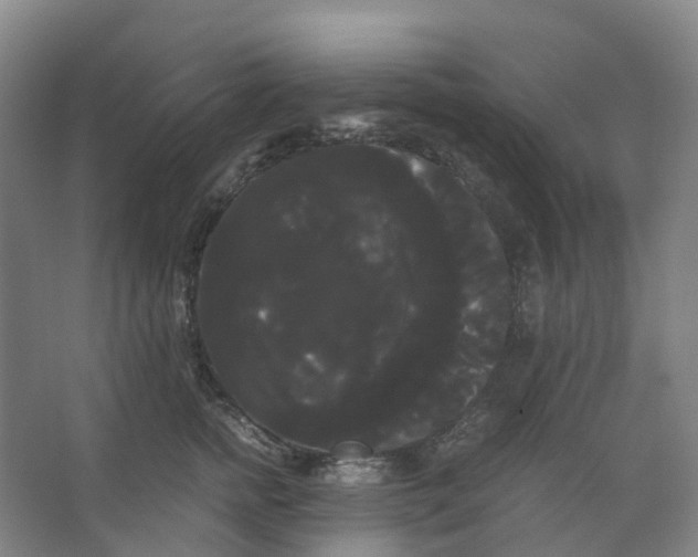 X0000066500758200604141722