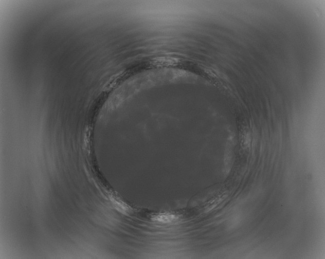 X0000066500759200604141722