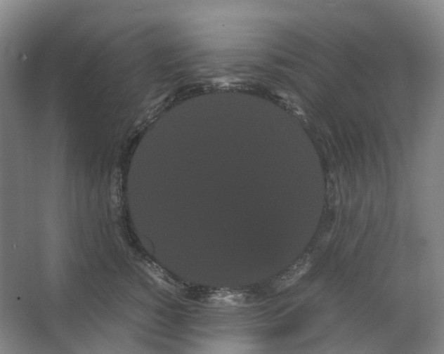 X0000066500760200604141722