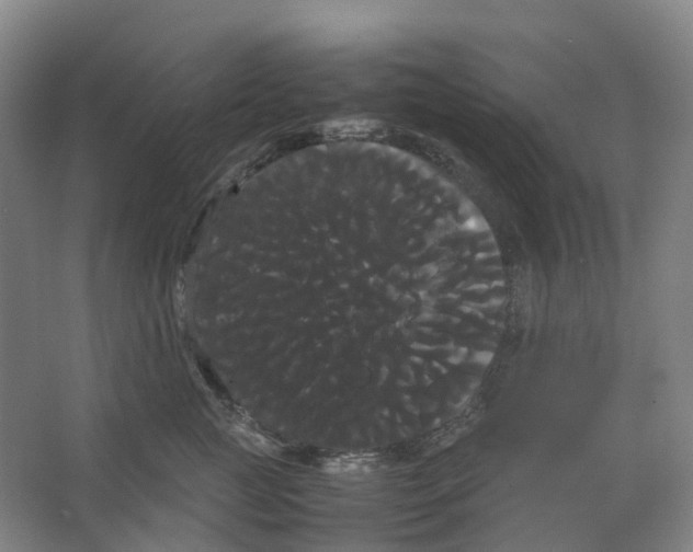 X0000066500761200604141722