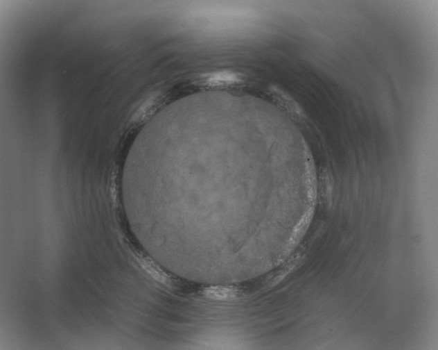 X0000066500762200604141722