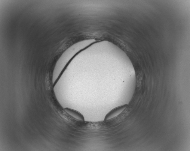 X0000066500764200604141722