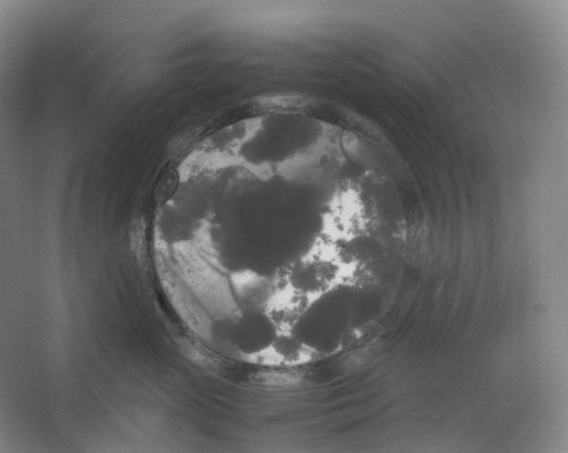 X0000066500765200604141722
