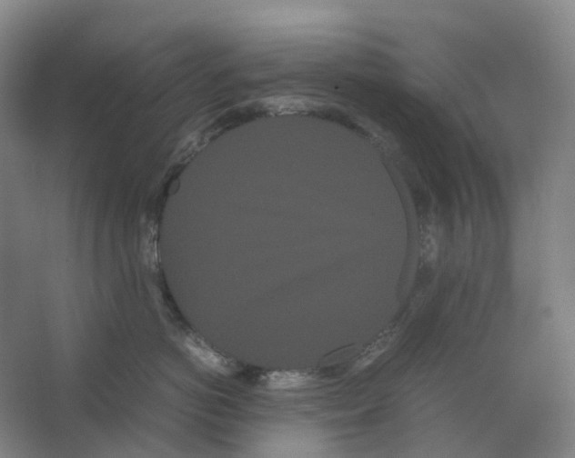 X0000066500766200604141722