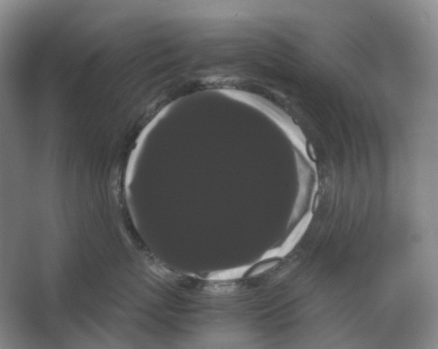 X0000066500767200604141722