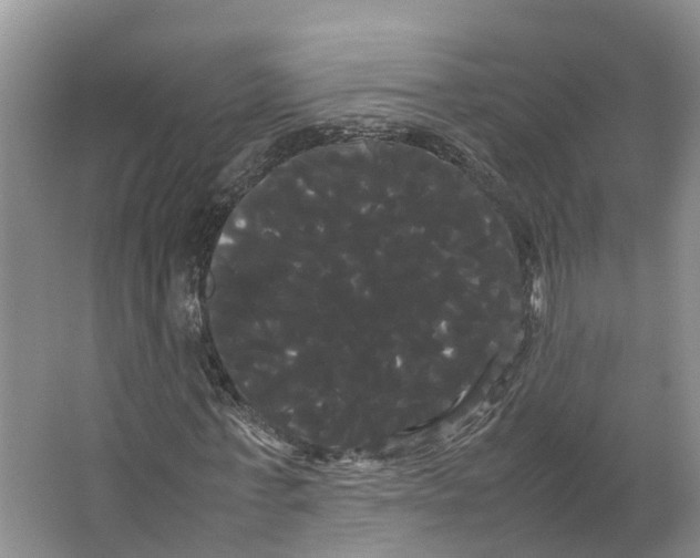 X0000066500771200604141721