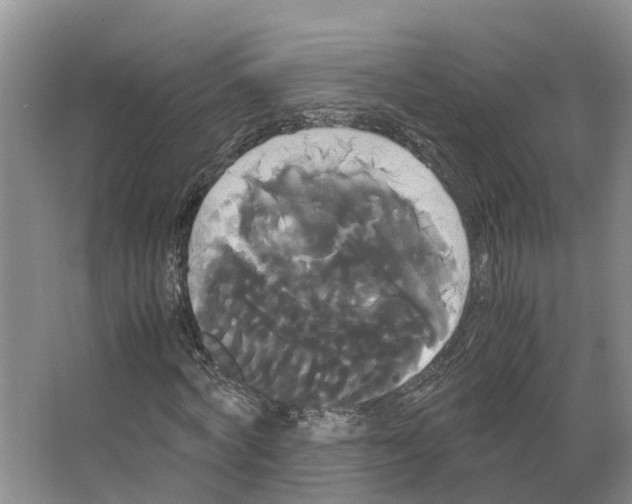 X0000066500772200604141721