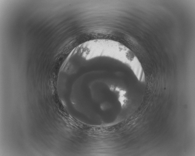 X0000066500774200604141721