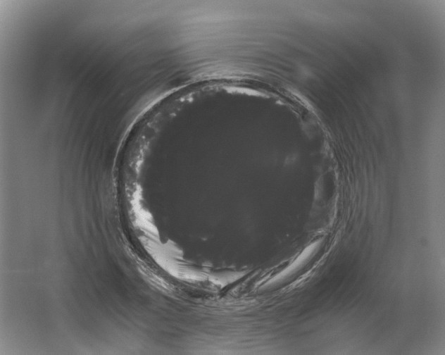 X0000066500779200604141721