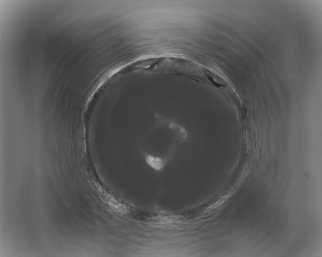 X0000066500781200604141721