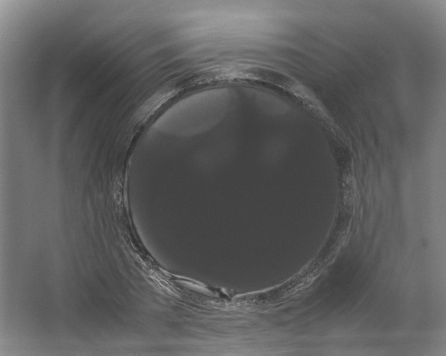 X0000066500785200604141721