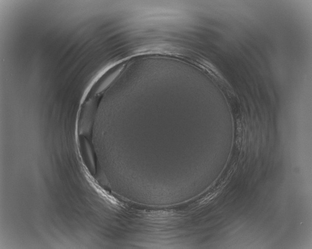 X0000066500788200604141721