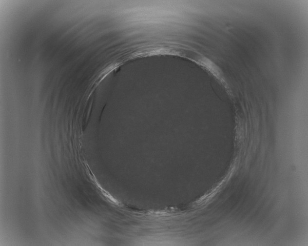 X0000066500793200604141721