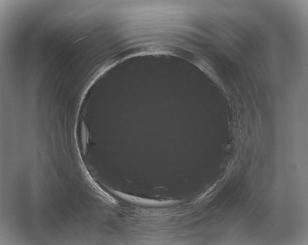 X0000066500797200604141721
