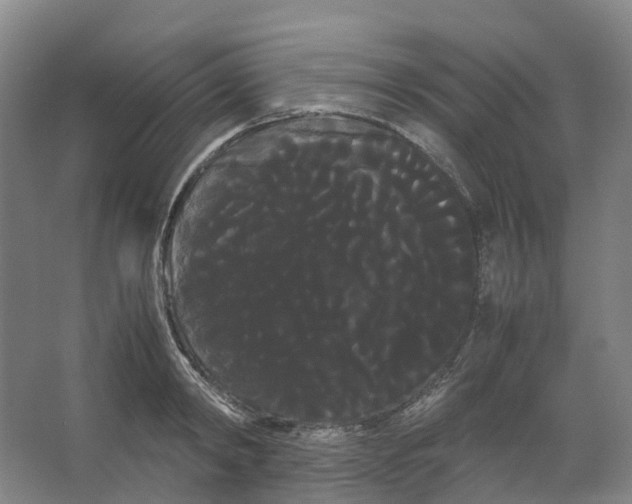 X0000066500798200604141721