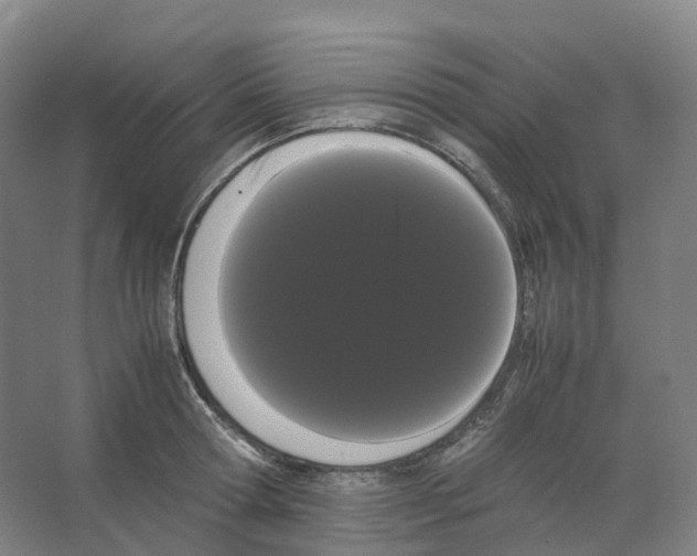 X0000066500802200604141721