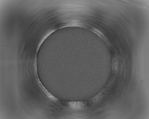 X0000066500804200604141721