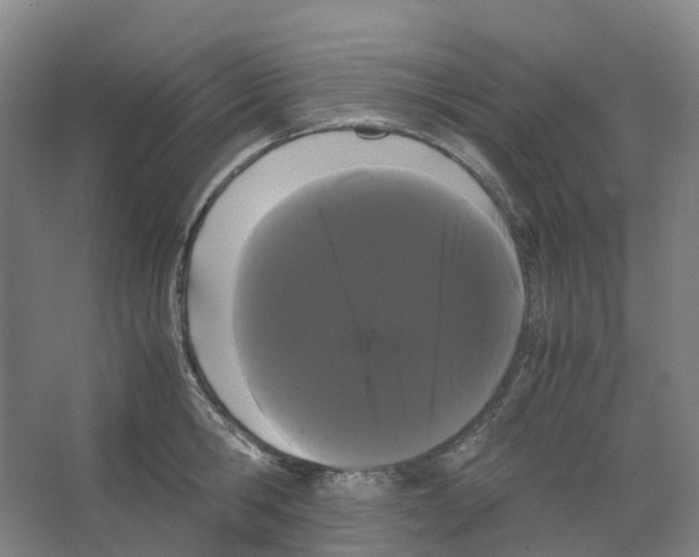 X0000066500806200604141721