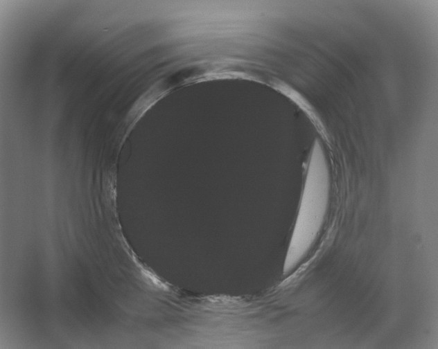 X0000066500809200604141721