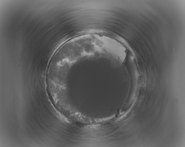 X0000066500810200604141721