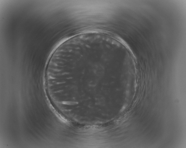 X0000066500811200604141721