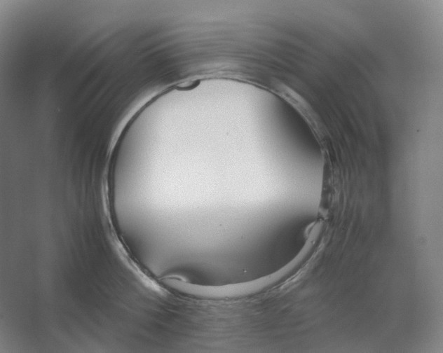 X0000066500812200604141721