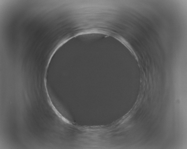 X0000066500813200604141721