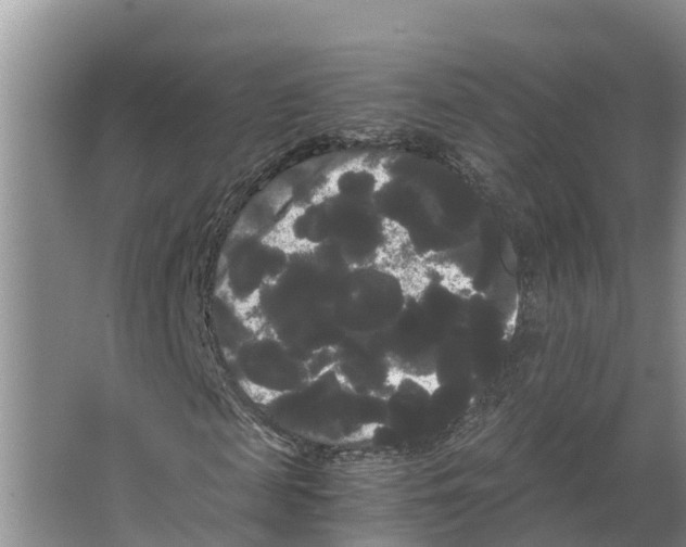 X0000066500817200604141720