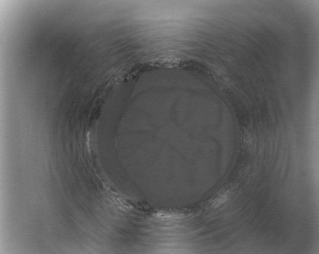 X0000066500818200604141720