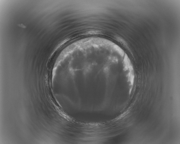 X0000066500827200604141720