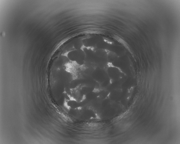 X0000066500829200604141720