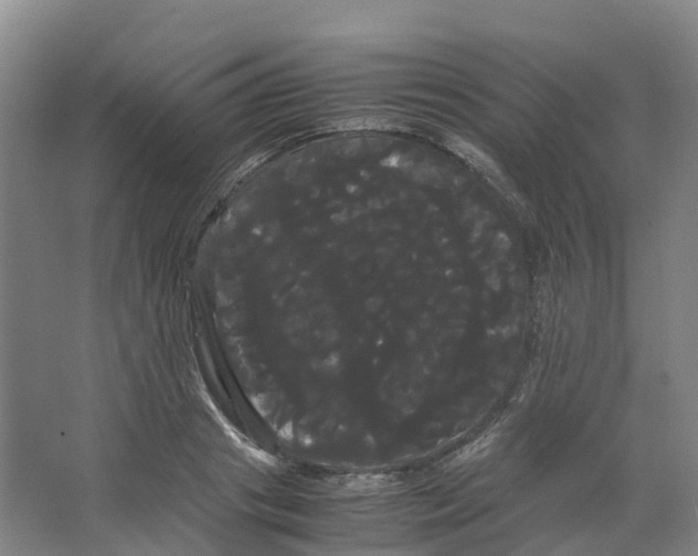 X0000066500841200604141720