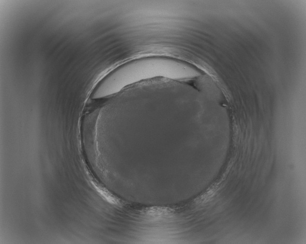 X0000066500842200604141720