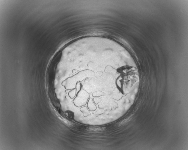 X0000066500843200604141720